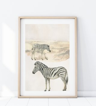 plagat-safari-zebry-p344-lovel.jpg